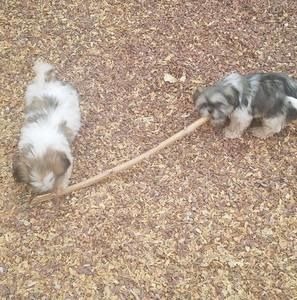 Meet your Posher, Marissa